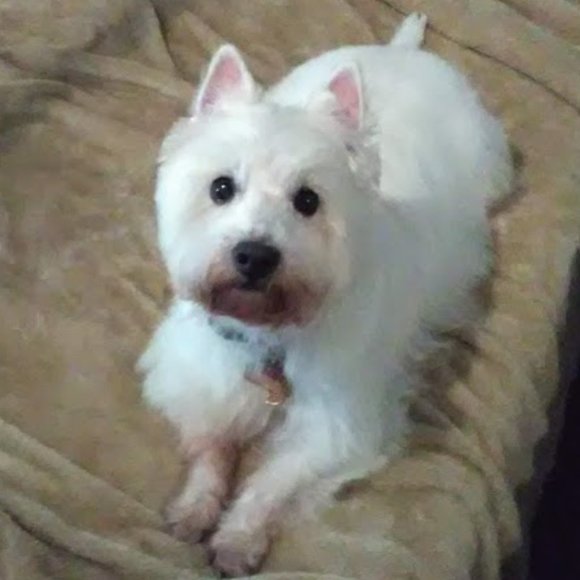 Meet your Posher, Libby - Picture 14 of 16